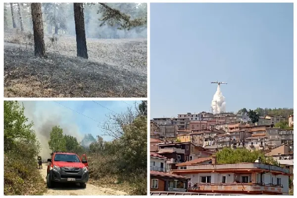 Incendi: ondata di calore scatena emergenze in tutte le province