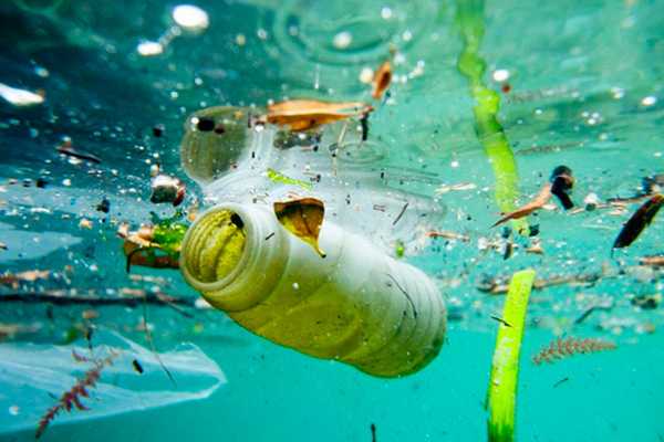 La vicesindaca Iemma invita i cittadini a unirsi nella lotta contro l'inquinamento da plastica in occasione della Giornata della Terra