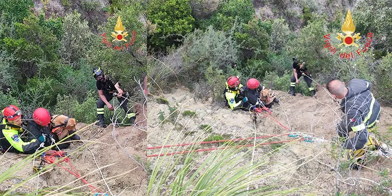 Il drammatico salvataggio del cucciolo caduto nel burrone da parte dei Vvf