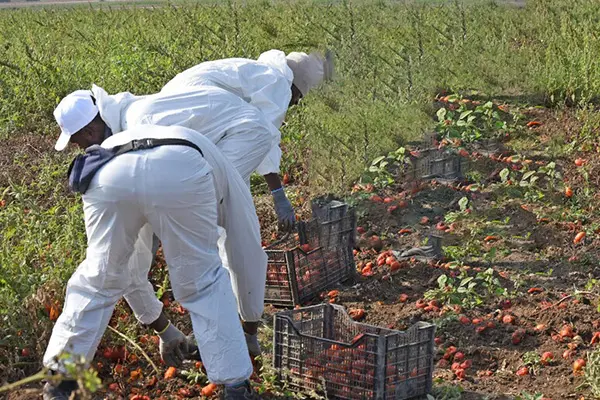 Tratta di schiavitù moderna: decapitato traffico di lavoratori a Piombino