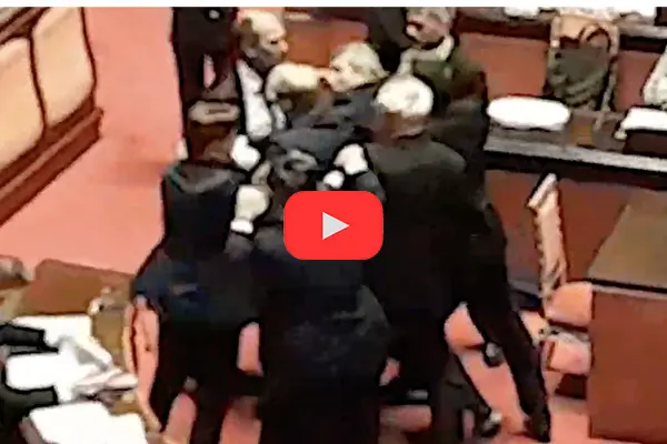 Rissa sfiorata in Senato durante il voto sugli emendamenti al premierato (Video)