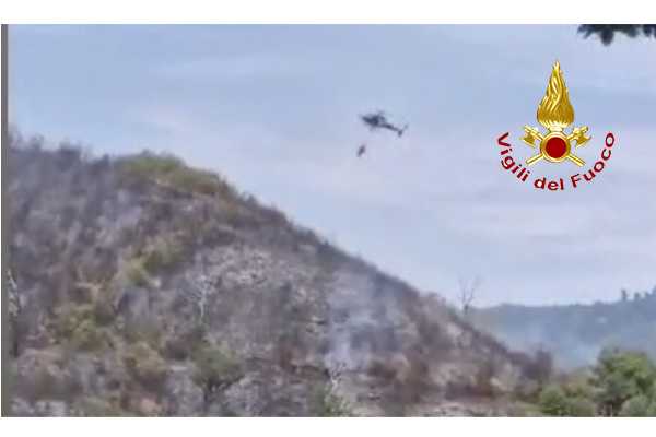 Incendio a Fossato Serralta: intervento dei Vvf e Calabria Verde (Video)
