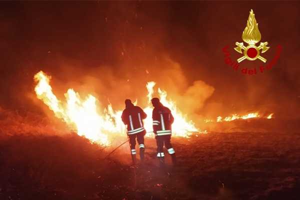 Incendi a Lucera e nella Bat: case e macchia mediterranea in fiamme, intervento dei Vvf