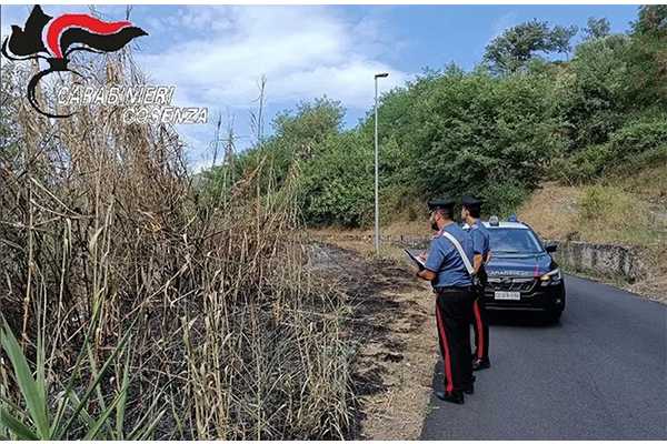 Calabria. Arrestata piromane di 68 anni per incendio vicino al bosco