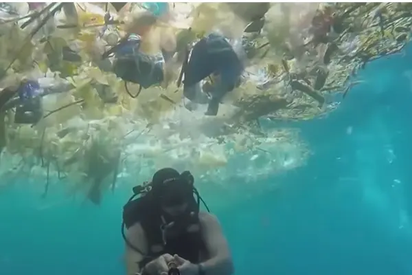 Il "Continente di Rifiuti" nell'Oceano: una minaccia globale. Cos'è la Great Pacific Garbage Patch? (Video)