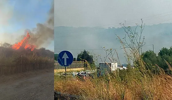 Incendio a Catanzaro: fiamme alte e fumo intenso nei pressi della SS280, disagi alla viabilità sul posto in azione  Vvf