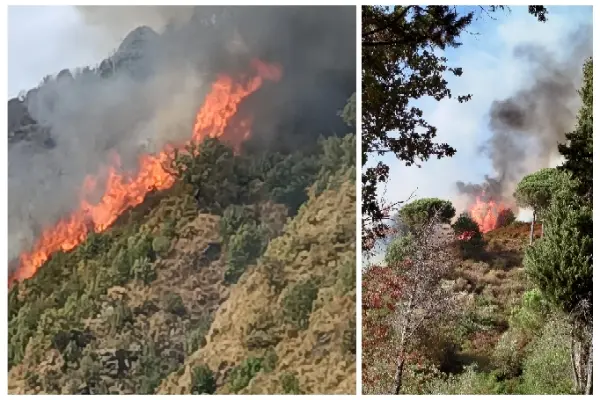 Emergenza Incendi a Gimigliano: evacuate numerose famiglie, centro Abitato minacciato dalle fiamme