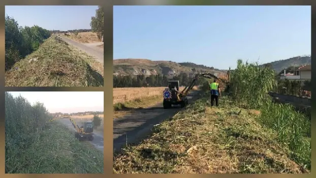 Pulizia dei burroni, interventi di Comune di Botricello e Consorzio di Bonifica