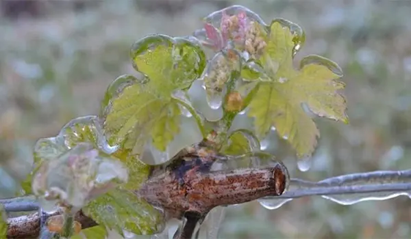 Meteo: gelate in arrivo fino in pianura, poi rialzo termico e sole entro venerdì
