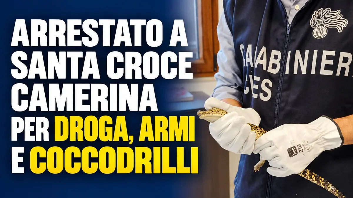 Arrestato a Santa Croce Camerina per droga armi e coccodrilli