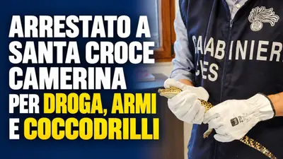 Arrestato a Santa Croce Camerina per droga armi e coccodrilli