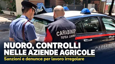 Nuoro, controlli dei Carabinieri nelle aziende agricole: sanzioni e denunce per lavoro irregolare