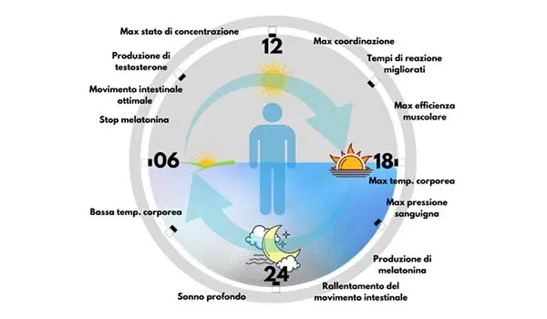Come il Caldo Influenza il Nostro Orologio Biologico: Nuove Scoperte sul Ritmo Circadiano