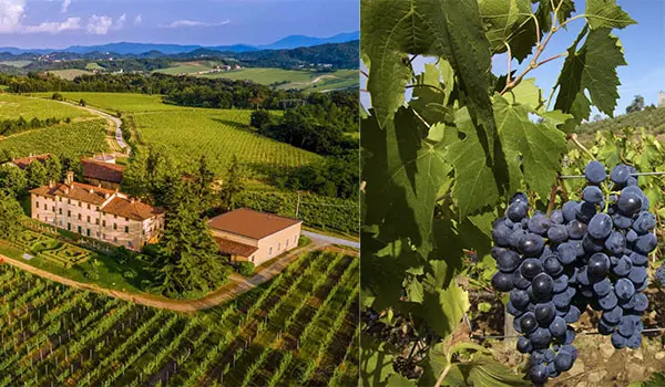 Coltiviamo la Cultura 2025: le dimore storiche celebrano il legame tra agricoltura, territorio e cultura