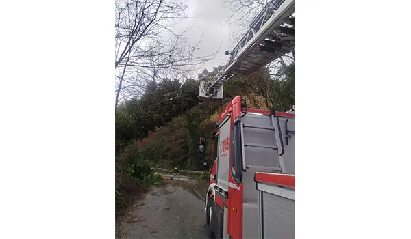 Maltempo nel Vibonese: oltre 40 interventi dei Vvf in 24 ore tra allagamenti e tetti scoperchiati