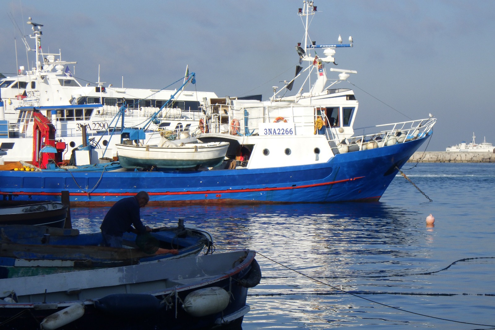 Con “Pesca Viva” a Procida un progetto per l’oro blu 