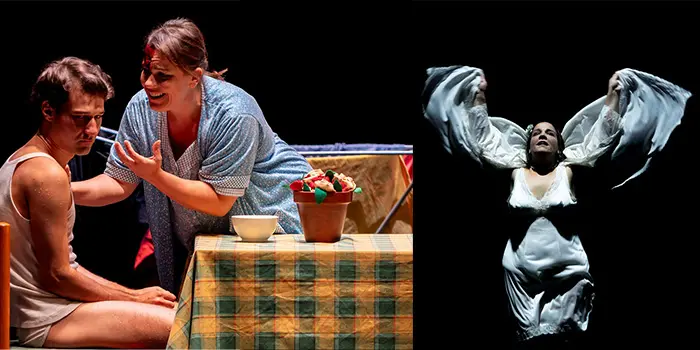 La più celebrata regista italiana Emma Dante per la prima volta al Teatro Politeama di Catanzaro il 13 febbraio con “L’angelo del focolare”