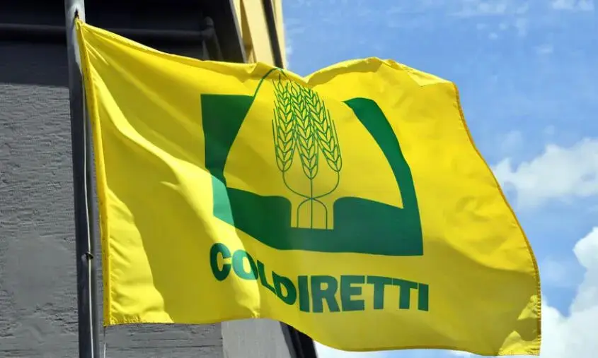 Gasolio agricolo in Calabria: prezzi in calo e nuove misure per il settore