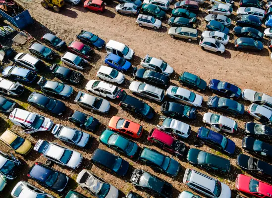 Smantellata autodemolizione abusiva in un uliveto: sequestrati oltre 200 veicoli e denunciati padre e figlio