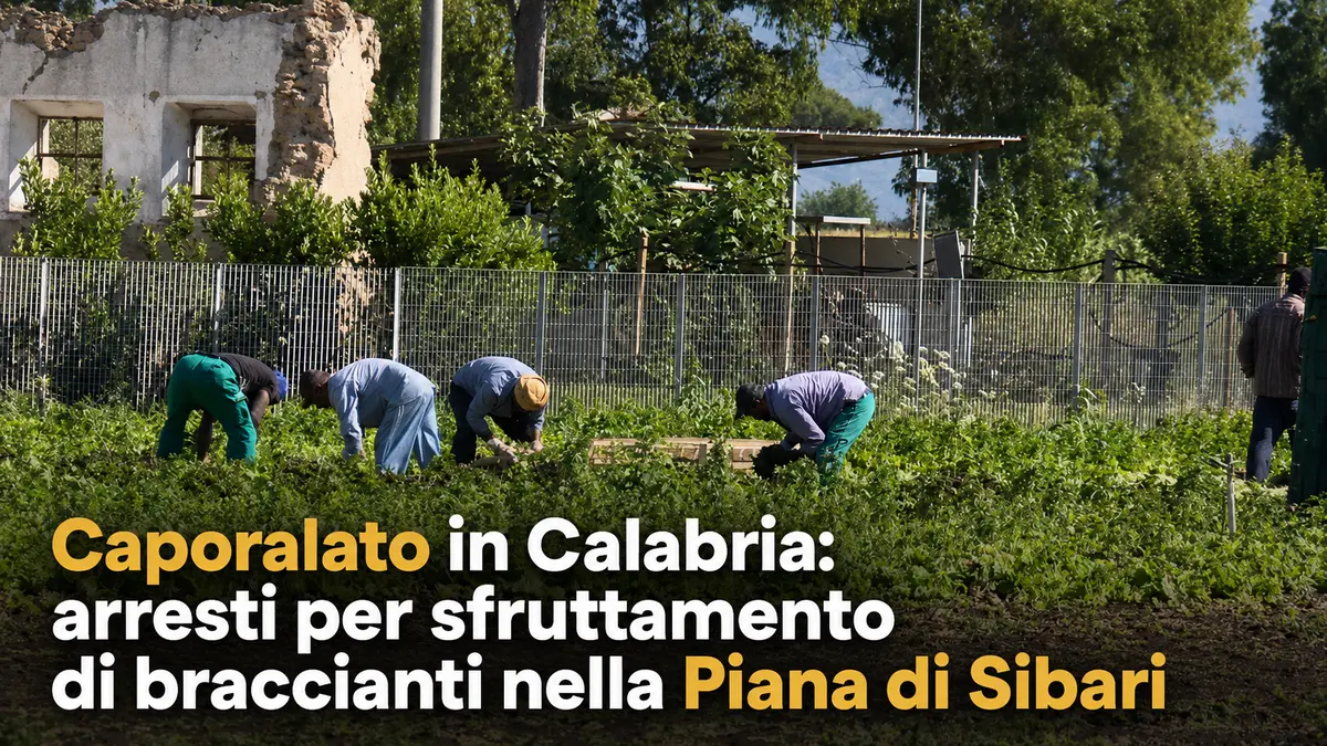 Caporalato in Calabria: arresti per sfruttamento di braccianti nella Piana di Sibari