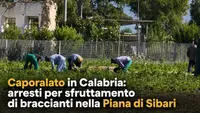 Caporalato in Calabria: arresti per sfruttamento di braccianti nella Piana di Sibari