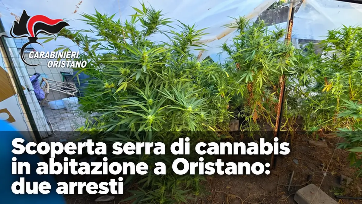 Scoperta serra di cannabis in abitazione a Oristano: due arresti