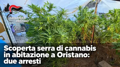 Scoperta serra di cannabis in abitazione a Oristano: due arresti