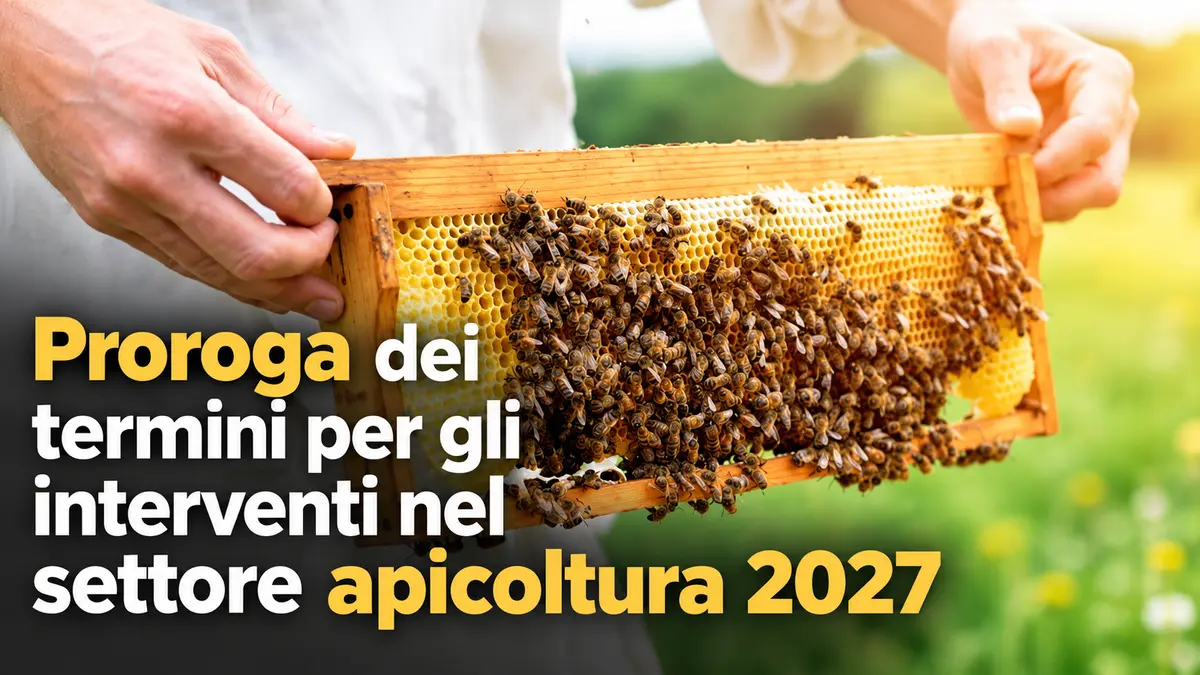 Proroga dei termini per gli interventi nel settore apicoltura 2027