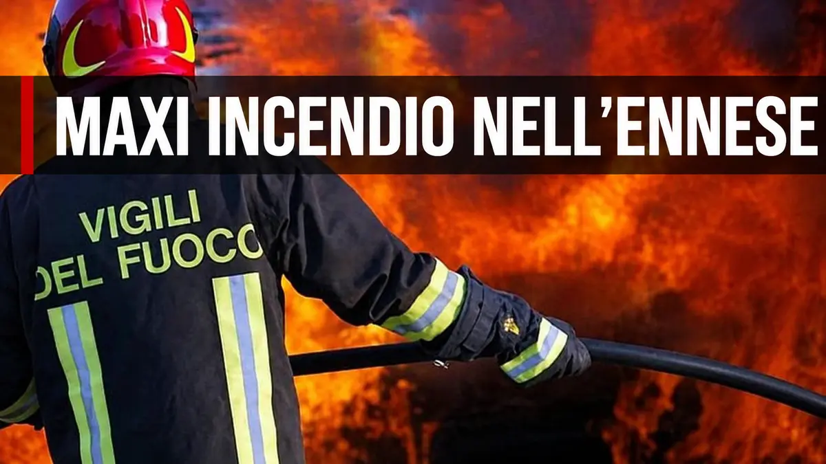 Maxi incendio nell’Ennese, distrutti tre capannoni di un allevamento avicolo