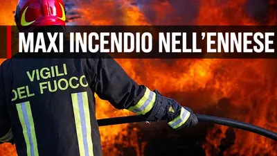 Maxi incendio nell’Ennese, distrutti tre capannoni di un allevamento avicolo