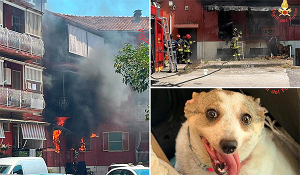 Incendio a Lamezia Terme, appartamento devastato dalle fiamme al Villaggio Kennedy.