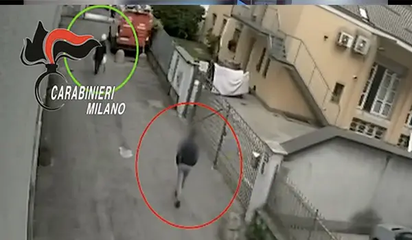 Truffe agli anziani: maxi operazione tra Napoli e Milano, 21 misure cautelari