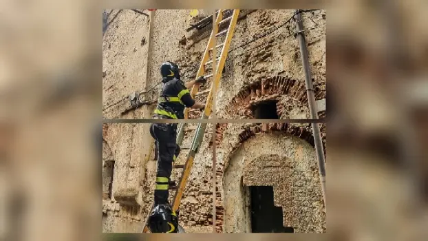 Cosenza, crollo in via Lucrezia della Valle: Vigili del Fuoco salvano due cani