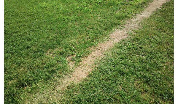 Ardore:  Bruciata una striscia d’erba del campo di calcio di contrada Vescovado.