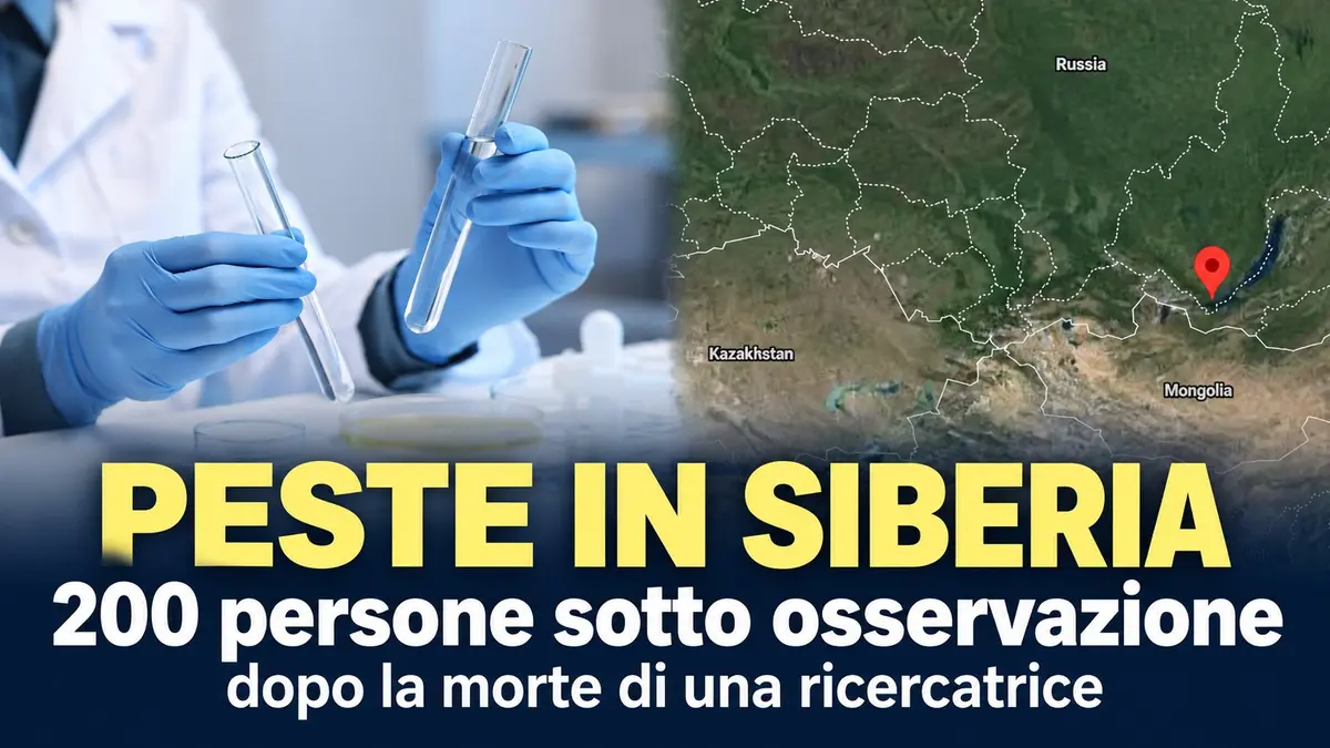 Peste in Siberia: 200 persone sotto osservazione dopo la morte di una ricercatrice