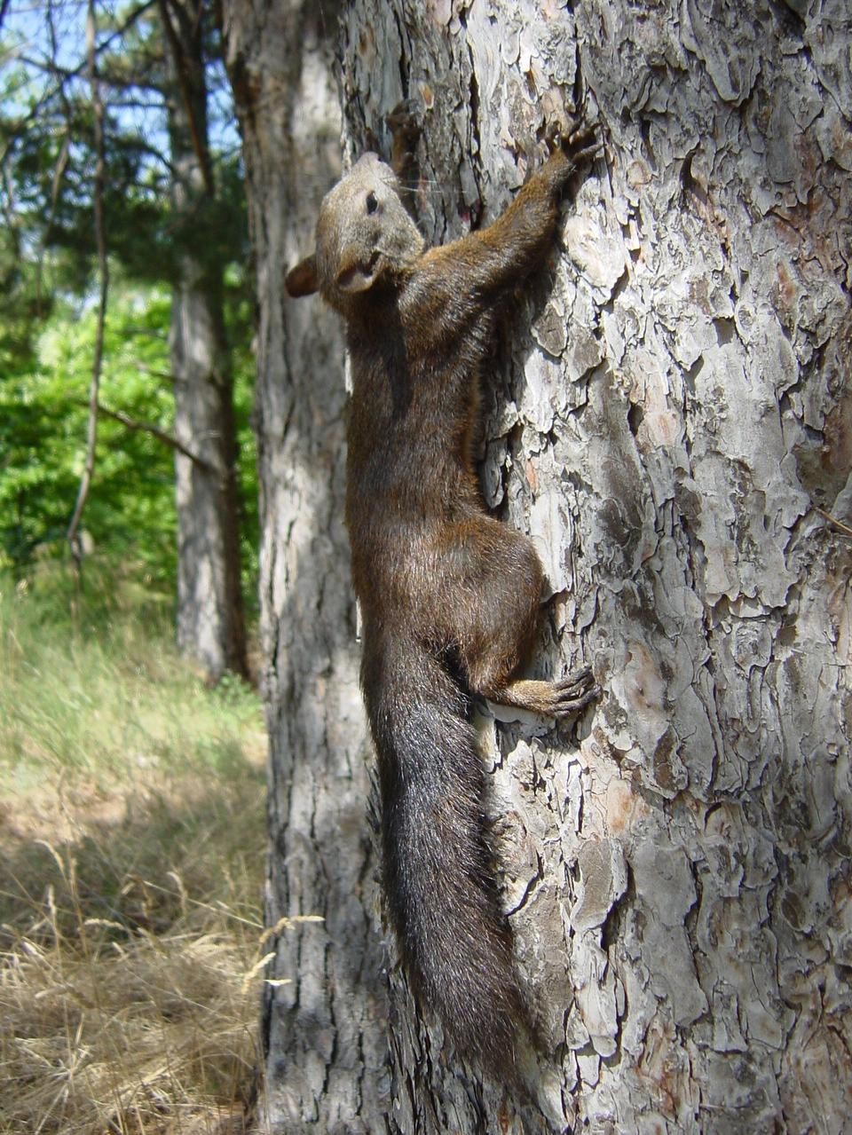 DOMENICA 26 APRILE AL BIOPARCO DI ROMA TORNA LA ‘CITY NATURE CHALLENGE’