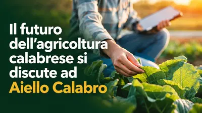 Il futuro dell'agricoltura calabrese si discute ad Aiello Calabro