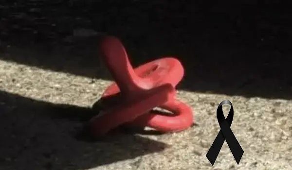 Catanzaro tragedia madre e figli esito autopsia chiarisce la dinamica della caduta