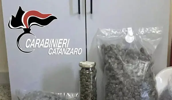 Maida, arrestato 25enne: nascondeva oltre 3 chili di marijuana in casa
