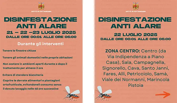 Disinfestazione Antialare a Catanzaro: date, zone e precauzioni da seguire
