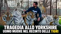 Tragedia allo Yorkshire Wildlife Park uomo muore dopo essere entrato nel recinto delle tigri