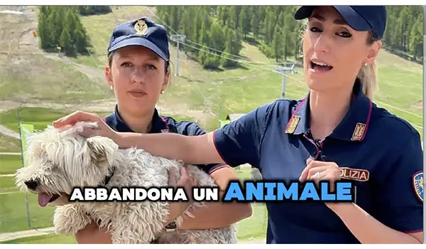 Estate e animali: abbandono punito con ritiro patente (Video)