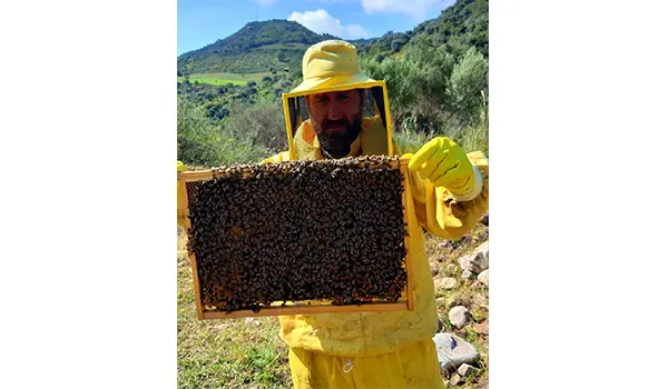 L’Ape Maurina, un progetto di sostenibilità e formazione a San Mauro Castelverde (Pa)