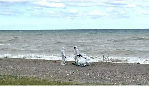 Cadavere rinvenuto sulla spiaggia di Cariati: indagini in corso