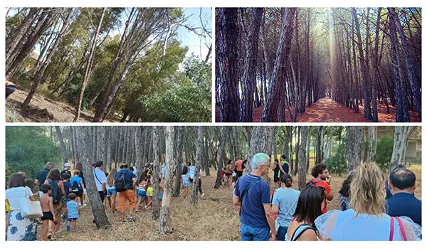 La Capitaneria di Porto consegna la pineta al Comune di Botricello