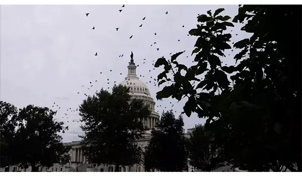 Usa in shutdown: caos politico e amministrazione federale paralizzata