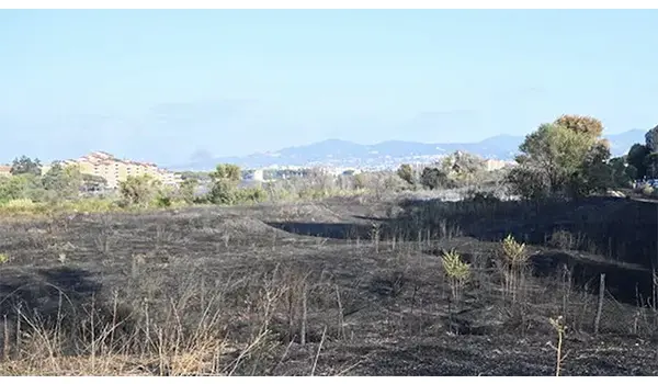 Maxi rogo a Roma: quattro soccorritori in condizioni critiche