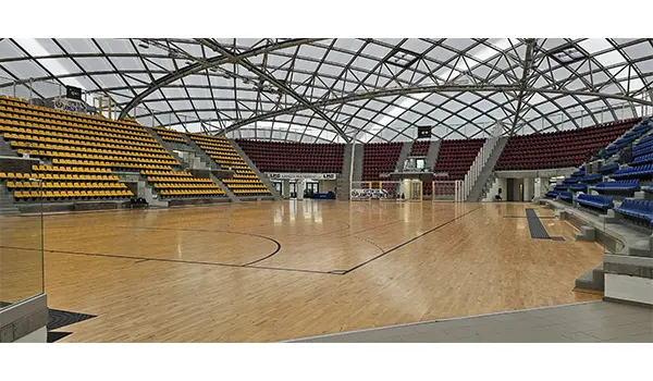 Richiesto il nuovo Palasport di Lamezia per il primo evento musicale dalla sua apertura