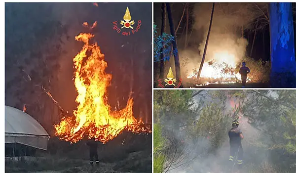  Acconia di Curinga (CZ), ettari di pineta distrutti dalle fiamme: impegnati i Vigili del Fuoco per l'intera giornata