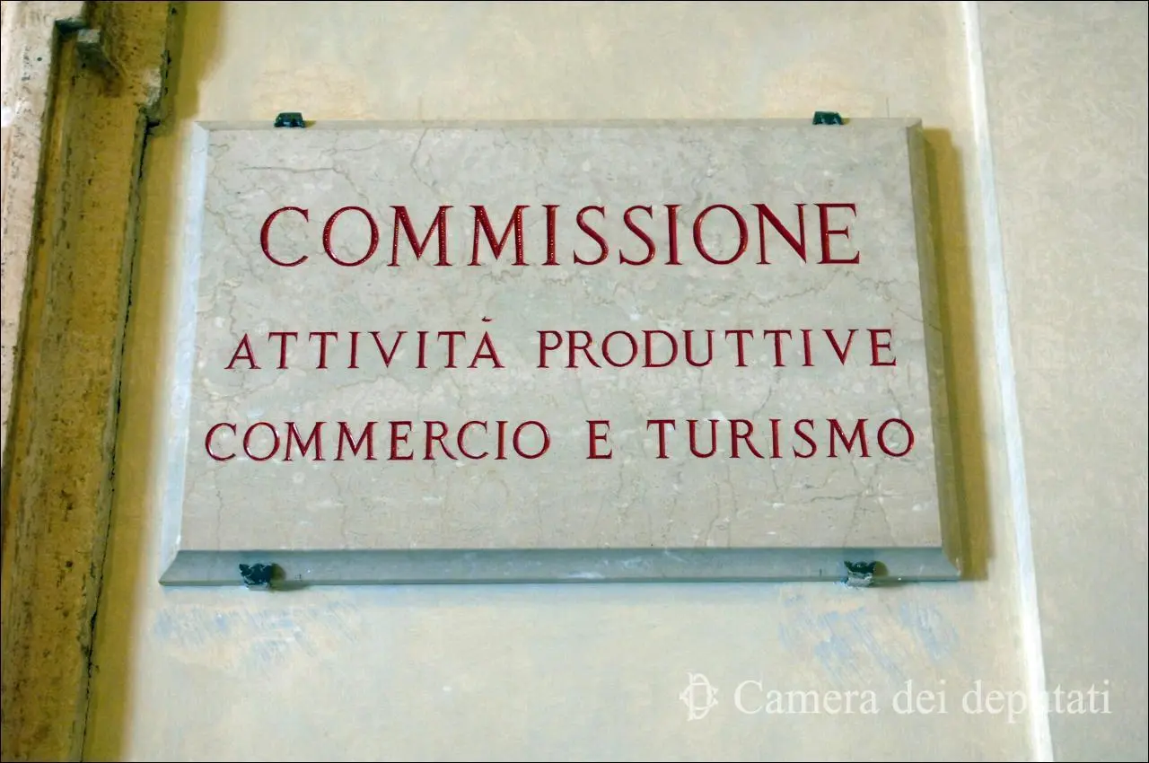 Legno-energia, AIEL in audizione alla Camera: filiera strategica per crescita e competitività